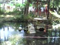 うさぎの神社・調神社【つきじんじゃ】の池（ウサギの噴水）